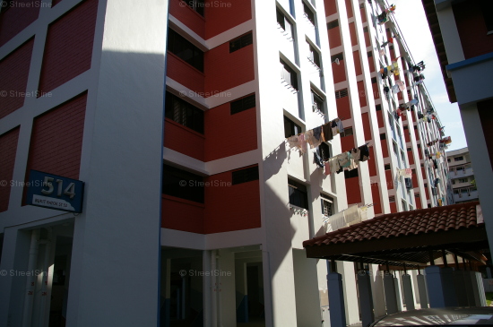 Blk 514 Bukit Batok Street 52 (Bukit Batok), HDB 5 Rooms #333972